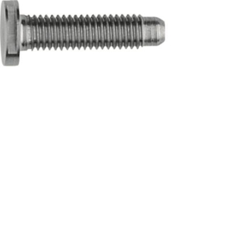 ELCOM Schraube Spezial ZY M5x25  REH122Y 