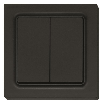 Eltako Funktaster anthrazit    F4T55E-am 