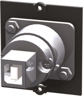 Bachmann Rahmen 1xUSB 2.0 A/B    917.018 