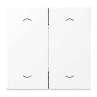 Jung EnOcean           ENO LS 995 MP WWM 