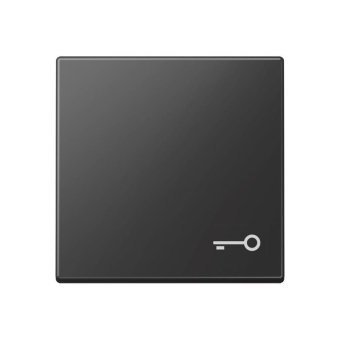 Jung Wippe 1fach Symbol Tür  A 590 T SWM 