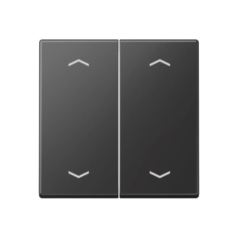 Jung Wippe                A 102 P BF SWM 