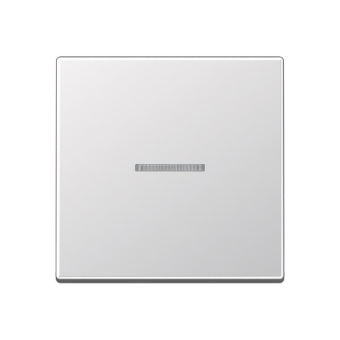 JG Wippe Kontroll 1-fach A590KO5AL 