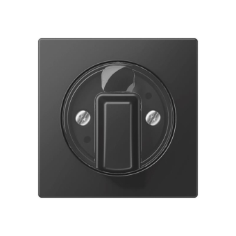 Jung Abdeckung             A 1541 BF SWM 