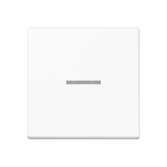 JG Wippe Kontroll 1-fach A590KO5WW 