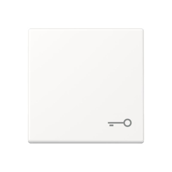 Jung Wippe 1fach Symbol Tür  A 590 T WWM 