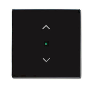 BJ Wippe 1-fach,Symbol        6232-10-81 