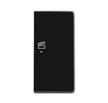 BJ Wippe rechts 2-fach,Symbol 6233-22-81 