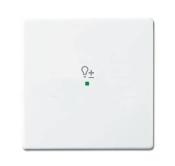BJ Wippe 1-fach Symbol Dimmer 6234-10-84 
