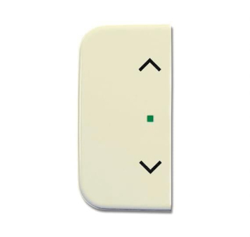 BJ Wippe 2-fach Symbol Licht 6232-20-212 