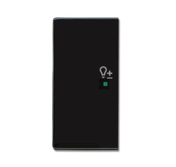 BJ Wippe links 2-fach,Symbol  6234-21-81 