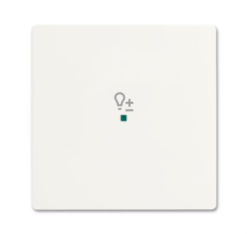 BJ Wippe 1f Dimmer matt      6234-10-884 