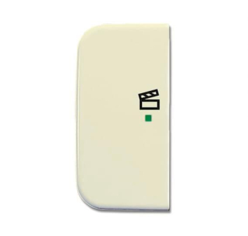 BJ Wippe 2-fach Symbol Licht 6233-21-212 