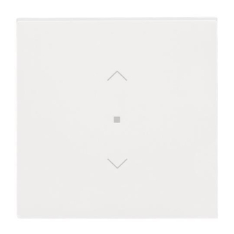 BJ Wippe 1-fach m.Symbol     6232-10-44G 