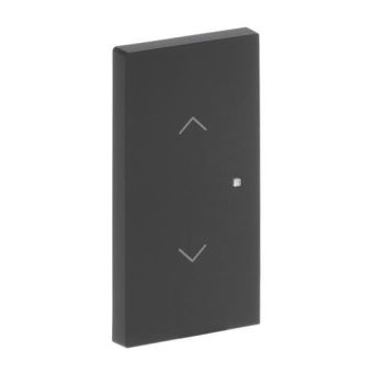 BJ Wippe 2-fach m.Symbol     6232-20-45M 