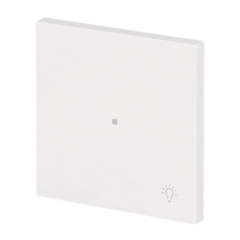 BJ Wippe 1-fach m.Symbol     6231-10-44G 