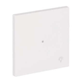 BJ Wippe 1-fach m.Symbol     6231-10-44G 