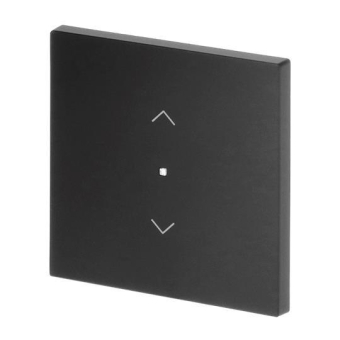 BJ Wippe 1-fach m.Symbol     6232-10-45M 