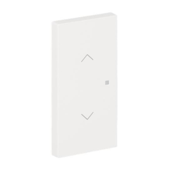 BJ Wippe 2-fach m.Symbol     6232-20-44M 