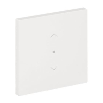 BJ Wippe 1-fach m.Symbol     6232-10-44G 