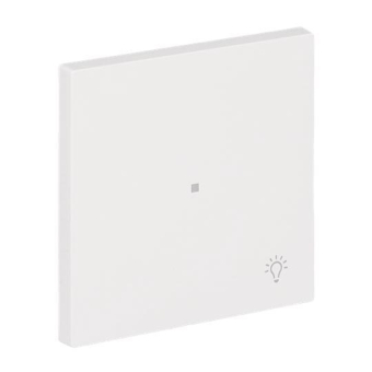 BJ Wippe 1-fach m.Symbol     6231-10-44M 