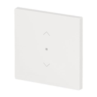 BJ Wippe 1-fach m.Symbol     6232-10-44G 