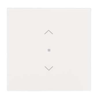 BJ Wippe 1-fach m.Symbol     6232-10-44M 