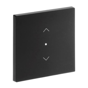BJ Wippe 1-fach m.Symbol     6232-10-45M 
