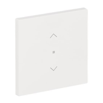 BJ Wippe 1-fach m.Symbol     6232-10-44M 