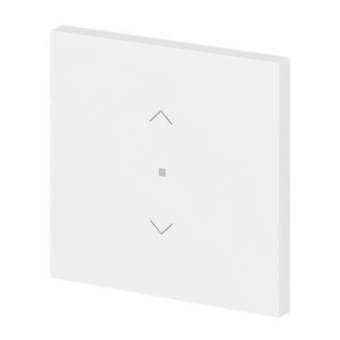 BJ Wippe 1-fach m.Symbol     6232-10-44M 