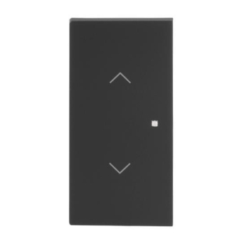 BJ Wippe 2-fach m.Symbol     6232-20-45M 