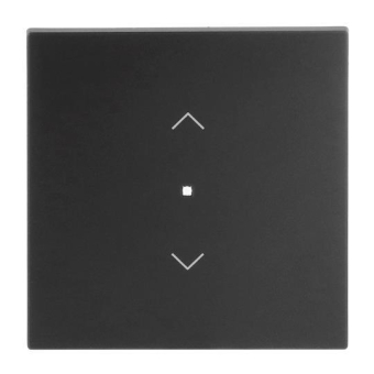 BJ Wippe 1-fach m.Symbol     6232-10-45M 