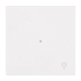 BJ Wippe 1-fach m.Symbol     6231-10-44G 