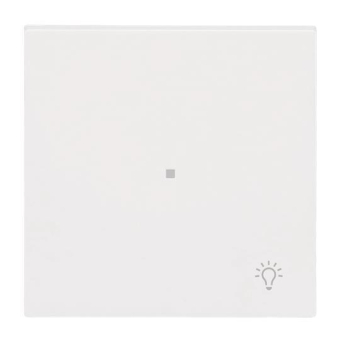 BJ Wippe 1-fach m.Symbol     6231-10-44M 