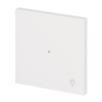 BJ Wippe 1-fach m.Symbol     6231-10-44M 