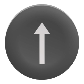 GS TASTENSCHILD FLACH RUND        ZBA335 