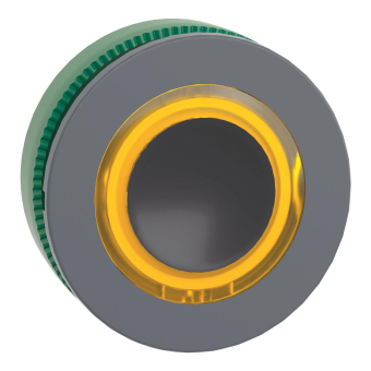 Schneider Leuchtdrucktaster     ZB5FW983 