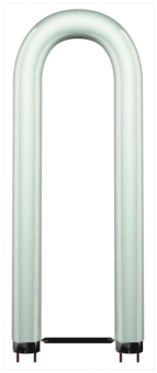 Scharnberger Leuchtstofflampe      68803 