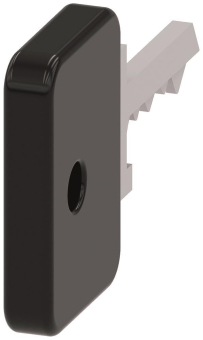 Siemens               3SU1950-0FL10-0AA0 