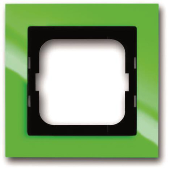 BJ Axcent Rahmen                1721-286 