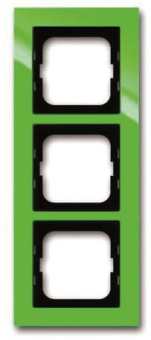 BJ Axcent Rahmen                1723-286 