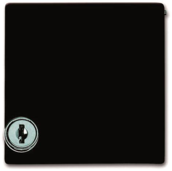 BJ ZWISCHENRING AW44 F. R-  2118 GKSL-31 