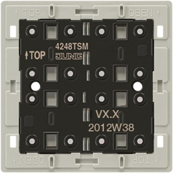 JG Tastsensor-Modul 24 V AC/DC  4248 TSM 