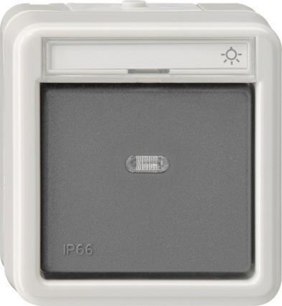 GIRA 015631 Wipptaster Wechsler BSF 