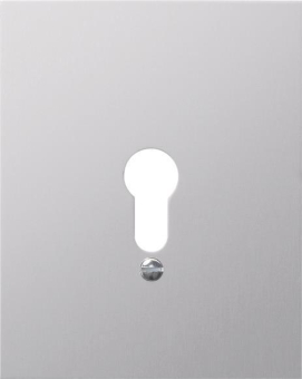 GIRA 009830 Metallabdeckung o.Symbole 