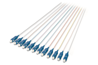 Assmann Durchgefärbte SC     DK-29221-02 