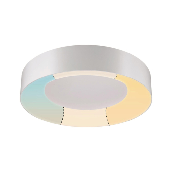 Paulmann WallCeiling HomeSpa Casca 78947 