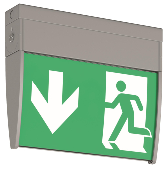 RZB Notleuchte GSUN-D silber  652219.004 