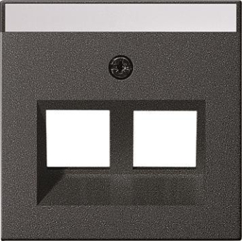 GIRA 264028 Abdeckung 30°+BSF Tragring 