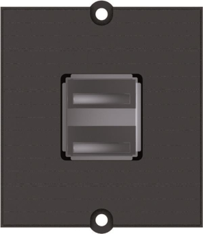 Bachmann Rahmen 2xUSBA           917.141 